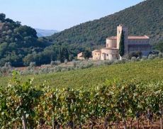 L'azienda di Brunello di Montalcino Domus Vitae è stata acquisita da Bottega Spa