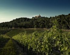 Castello Banfi