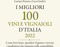 La copertina della guida
