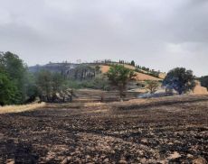 Incendio tra Torrenieri e San Giovanni d'Asso