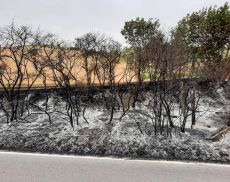 Incendio tra Torrenieri e San Giovanni d'Asso