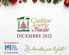 Cantine Aperte a Natale: eventi anche a Montalcino