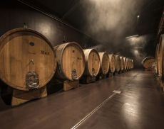 La nuova cantina di Pian delle Vigne (Antinori) a Montalcino