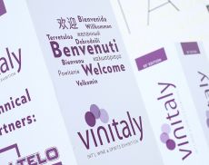 Vinitaly