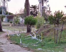 La situazione in pineta dopo l'atto vandalico denunciato dal Siena Bike