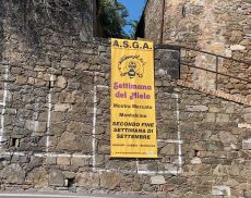 La locandina della Settimana del Miele 