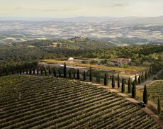 Il rendering della nuova cantina di Poggio Antico