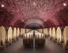Il rendering della nuova cantina di Poggio Antico