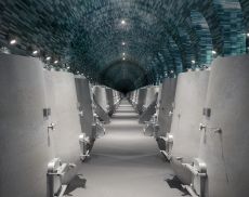 Il rendering della nuova cantina di Poggio Antico
