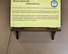 Moscadello di Montalcino