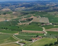 Panorama Montalcino