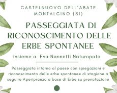 Passeggiata tra le erbe spontanee