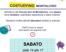 Costudying