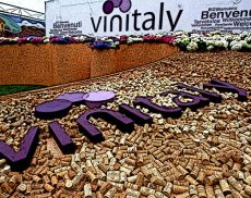 Vinitaly