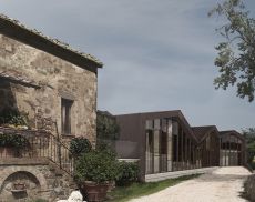 Il marroneto