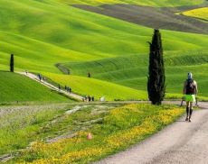 Tuscany Crossing