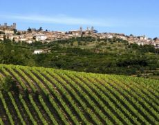 Montalcino Vista