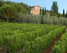 Azienda Matè