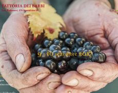 Torna Cantine Aperte in vendemmia, appuntamento promosso dal Movimento Turismo del Vino Toscana