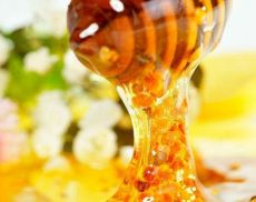 Il miglior miele d’Italia è di timo. Lo ha deciso, a Montalcino, una giuria di esperti degustatori nello storico concorso nazionale “Roberto Franci” 