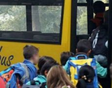 Montalcino, dimezzato il costo del trasporto scolastico