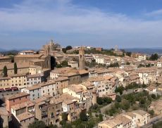 Fondazione del Brunello, 100.000 euro raccolti nel 2018