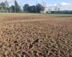 Il pessimo stato del manto del campo sportivo di Montalcino