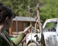 Agricolarte, prima edizione a Piombaia