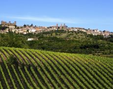 Panorama di Montalcino