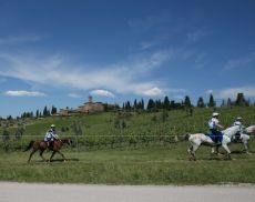 L’Endurance Equestre a Montalcino 
