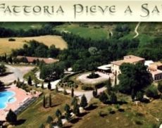Fattoria Pieve a Salti
