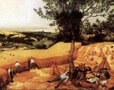 Mietitura di Pieter Bruegel il Vecchio
