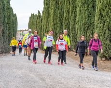 Torna la Walking Francigena Ultramarathon