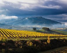 Montalcino - Foto di Francesco Belviso