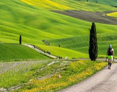 Tuscany crossing