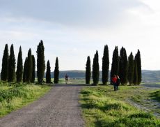Tuscany Crossing