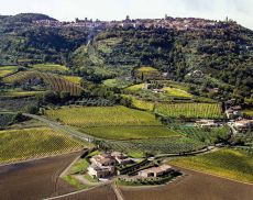 Una veduta di Montalcino