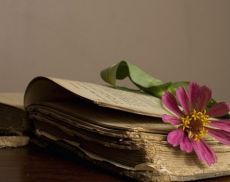 Libro antico con fiore