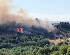 Le fiamme hanno trasformato la domenica di Montisi in una serata di paura. Per fortuna nessuna conseguenza alle persone.