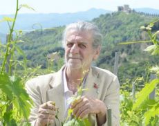 Riccardo e Francesco Illy