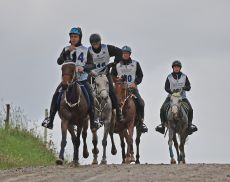 Trofeo del Brunello