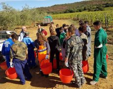 I ragazzi dell'Agrario di Montalcino a lezione in azienda