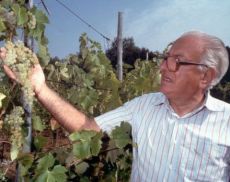 Narciso Diadori, fondatore dell’Istituto Tecnico Agrario Statale Bettino Ricasoli di Siena (oggi Istituto d’Istruzione Superiore)