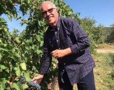 Il presidente del Consorzio del Brunello Fabrizio Bindocci inaugura la vendemmia 2020