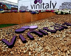 Vinitaly