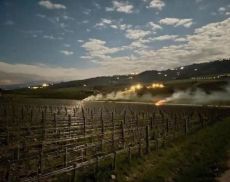 Fuoco nei vigneti di Brunello 
