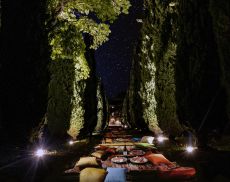 Un picnic lungo il viale di cipressi, tra stelle cadenti, musica e tappeti persiani a Villa Le Prata