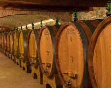 Botti di Brunello di Montalcino