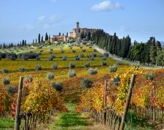 Castello Banfi