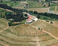 La Tenuta del Greppo vista dall’alto